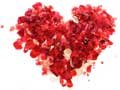 rose heart